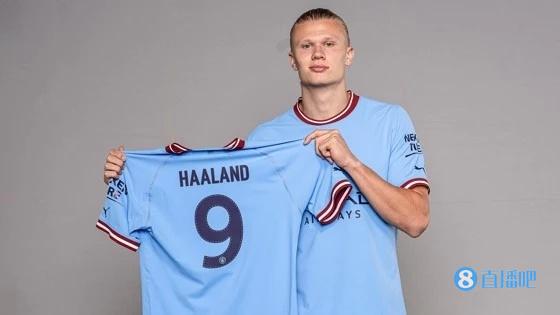 种冠军叙事 种冠军叙事