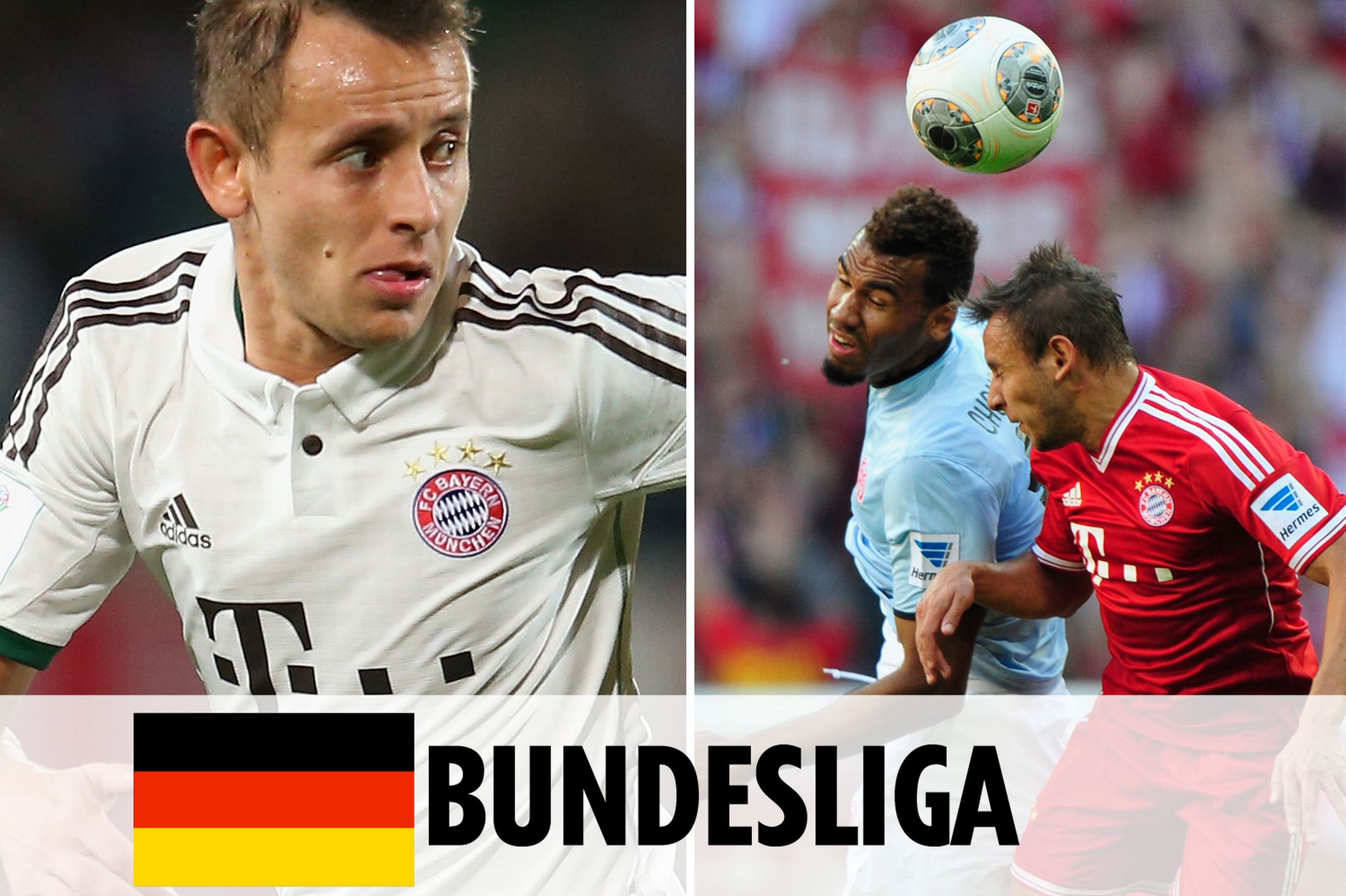 领馆或权威 领馆或权威